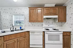 18818 Holly Pine Trail, Lithia, FL 33547 - Photo 47