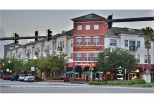 10428 Lightner Bridge Dr, Tampa, FL 33626 - Photo 3