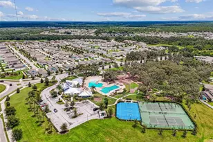 12826 Satin Lily Dr, Riverview, FL 33579 - Photo 53