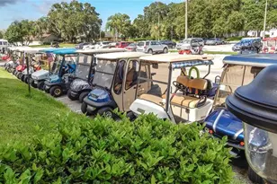 653 McDaniel St, Sun City Center, FL 33573 - Photo 53