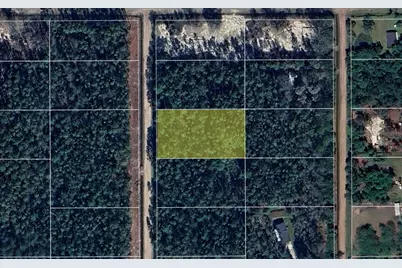 10620 Delgado Avenue, Hastings, FL 32145 - Photo 1