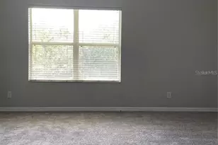 16410 Swan View Cir, Odessa, FL 33556 - Photo 11