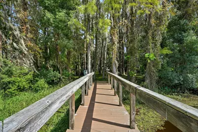 21817 Dupree Drive, Land O Lakes, FL 34639 - Photo 37