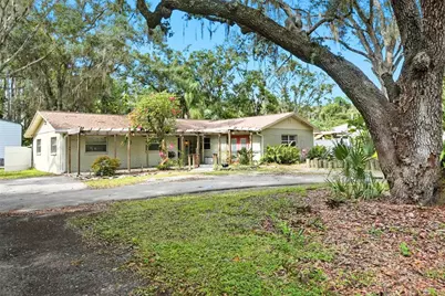 21817 Dupree Drive, Land O Lakes, FL 34639 - Photo 1