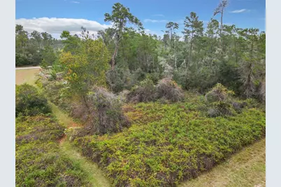 Sw 32nd Circle, Ocala, FL 34473 - Photo 9