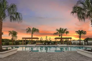 6255 Broad Fld Ave, Apollo Beach, FL 33572 - Photo 19