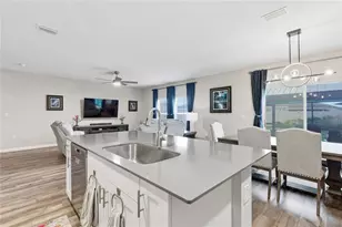 34170 Scarlet Sage Ct, Wesley Chapel, FL 33545 - Photo 11