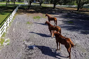 8345 Shenandoah Run, Wesley Chapel, FL 33544 - Photo 45