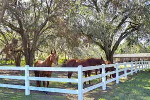 8345 Shenandoah Run, Wesley Chapel, FL 33544 - Photo 49