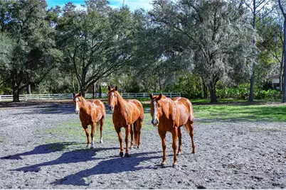 8345 Shenandoah Run, Wesley Chapel, FL 33544 - Photo 47