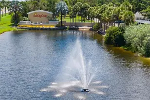 326 Caloosa Palms Ct, Sun City Center, FL 33573 - Photo 59