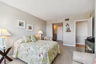 6372 Palma Del Mar Blvd S, Saint Petersburg, FL 33715 - Photo 31
