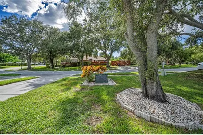 1206 S Pointe Alexis Drive, Tarpon Springs, FL 34689 - Photo 51