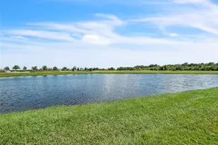 14443 Touch Gold Ln, Ruskin, FL 33573 - Photo 29