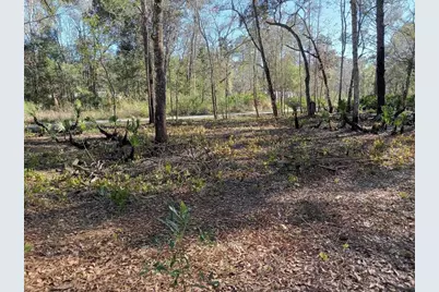 0000 Tulane Street, New Port Richey, FL 34653 - Photo 5