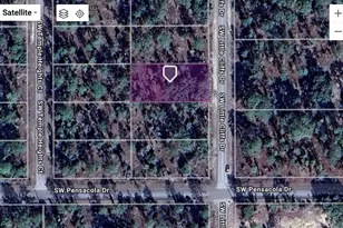 SW Little Cliffs Dr, Dunnellon, FL 34431 - Photo 1