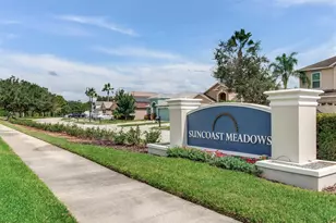17433 Lawn Orchid Loop, Land O Lakes, FL 34638 - Photo 41