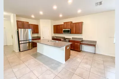 21046 Passive Porch Drive, Land O Lakes, FL 34637 - Photo 3