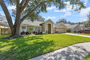 5311 Windbrush Dr, Tampa, FL 33625 - Photo 15