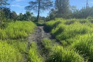 2701 Metro Dr, Ruskin, FL 33570 - Photo 1