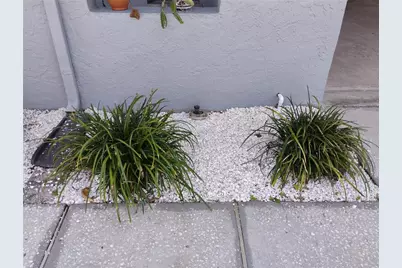 2256 W Colonial Boulevard W, Palm Harbor, FL 34683 - Photo 65