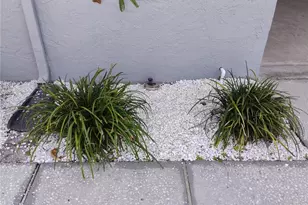 2256 W Colonial Blvd W, Palm Harbor, FL 34683 - Photo 65