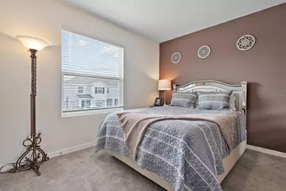 355 Mangrove Shade Circle, Apollo Beach, FL 33572 - Photo 25