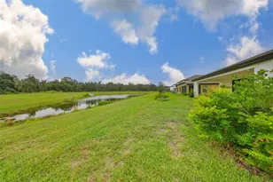 13211 Twin Bridges Dr, Riverview, FL 33579 - Photo 37