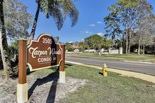 3505 Tarpon Woods Blvd, Palm Harbor, FL 34685 - Photo 19