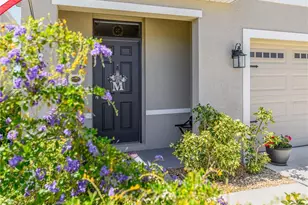 6284 Wandering Willow Dr, Wesley Chapel, FL 33545 - Photo 45