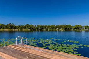 2327 Camp Indianhead Rd, Land O Lakes, FL 34639 - Photo 67