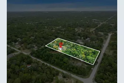 12217 Peaceful Avenue, Weeki Wachee, FL 34614 - Photo 3