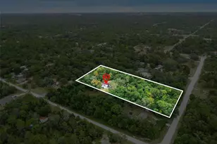 12217 Peaceful Ave, Weeki Wachee, FL 34614 - Photo 3