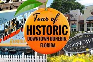 2890 Armadillo Dr, Palm Harbor, FL 34683 - Photo 45