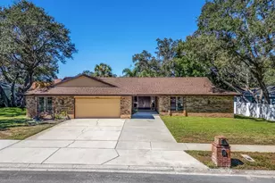 2890 Armadillo Dr, Palm Harbor, FL 34683 - Photo 1
