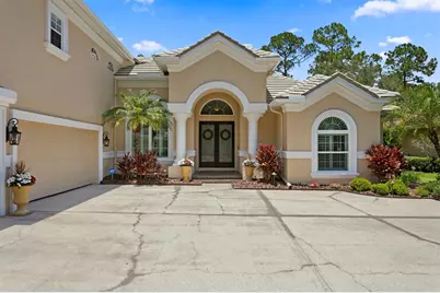 16423 Burniston Drive, Tampa, FL 33647 - Photo 3