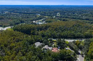 16303 Heathrow Dr, Tampa, FL 33647 - Photo 63