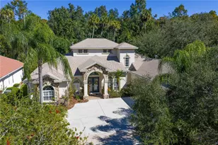 16303 Heathrow Dr, Tampa, FL 33647 - Photo 87