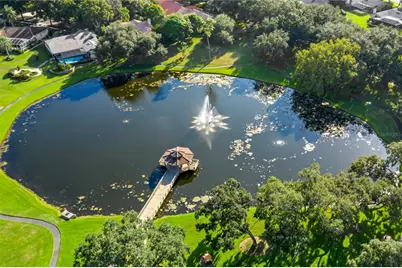 3498 Shoreline Circle, Palm Harbor, FL 34684 - Photo 69