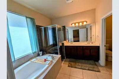 20119 Eagles Landing Way, Tampa, FL 33647 - Photo 19