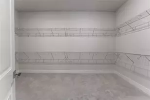 8541 Ivy Stark Blvd, Wesley Chapel, FL 33545 - Photo 49