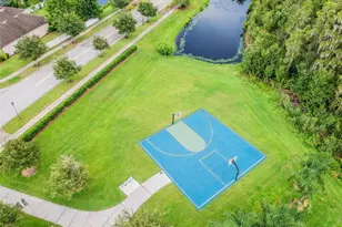 19322 Hawk Vly Dr, Tampa, FL 33647 - Photo 63