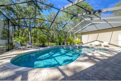 16328 Emerald Cove Drive, Lutz, FL 33549 - Photo 51