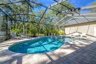 16328 Emerald Cove Dr, Lutz, FL 33549 - Photo 53