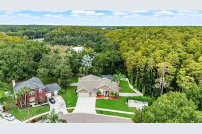 4875 Eagle Cove North Drive, Palm Harbor, FL 34685 - Photo 37