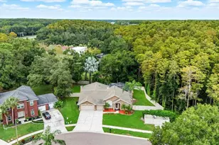 4875 Eagle Cove N Dr, Palm Harbor, FL 34685 - Photo 37