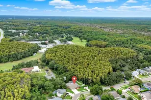 4875 Eagle Cove N Dr, Palm Harbor, FL 34685 - Photo 43