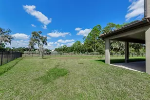 291 Mossy River Ct, Brandon, FL 33511 - Photo 37