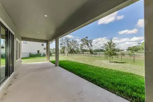 291 Mossy River Ct, Brandon, FL 33511 - Photo 59