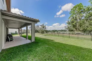 291 Mossy River Ct, Brandon, FL 33511 - Photo 63